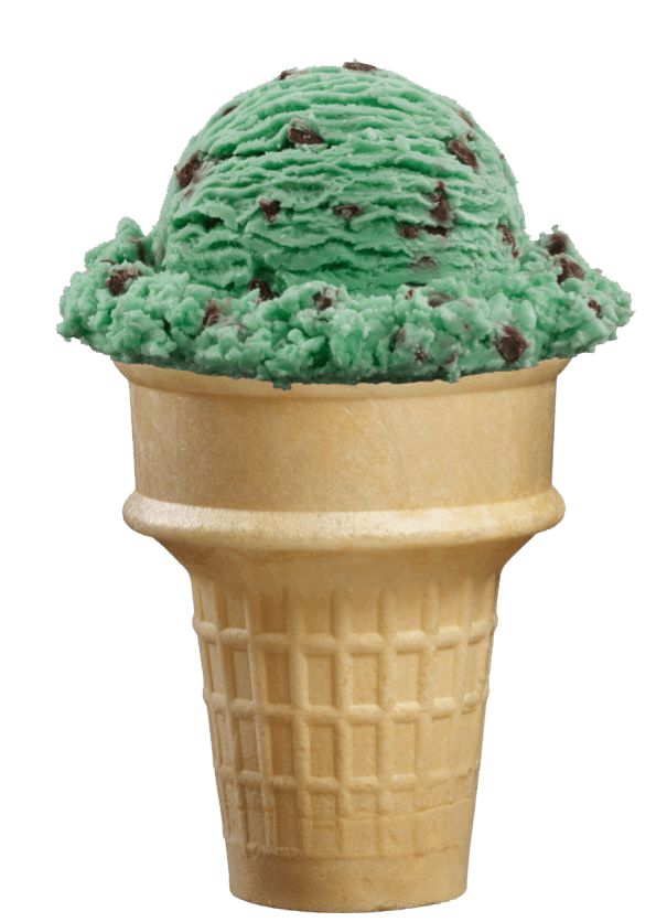 Large Ice Cream Scooper #12 – Pints of Joy